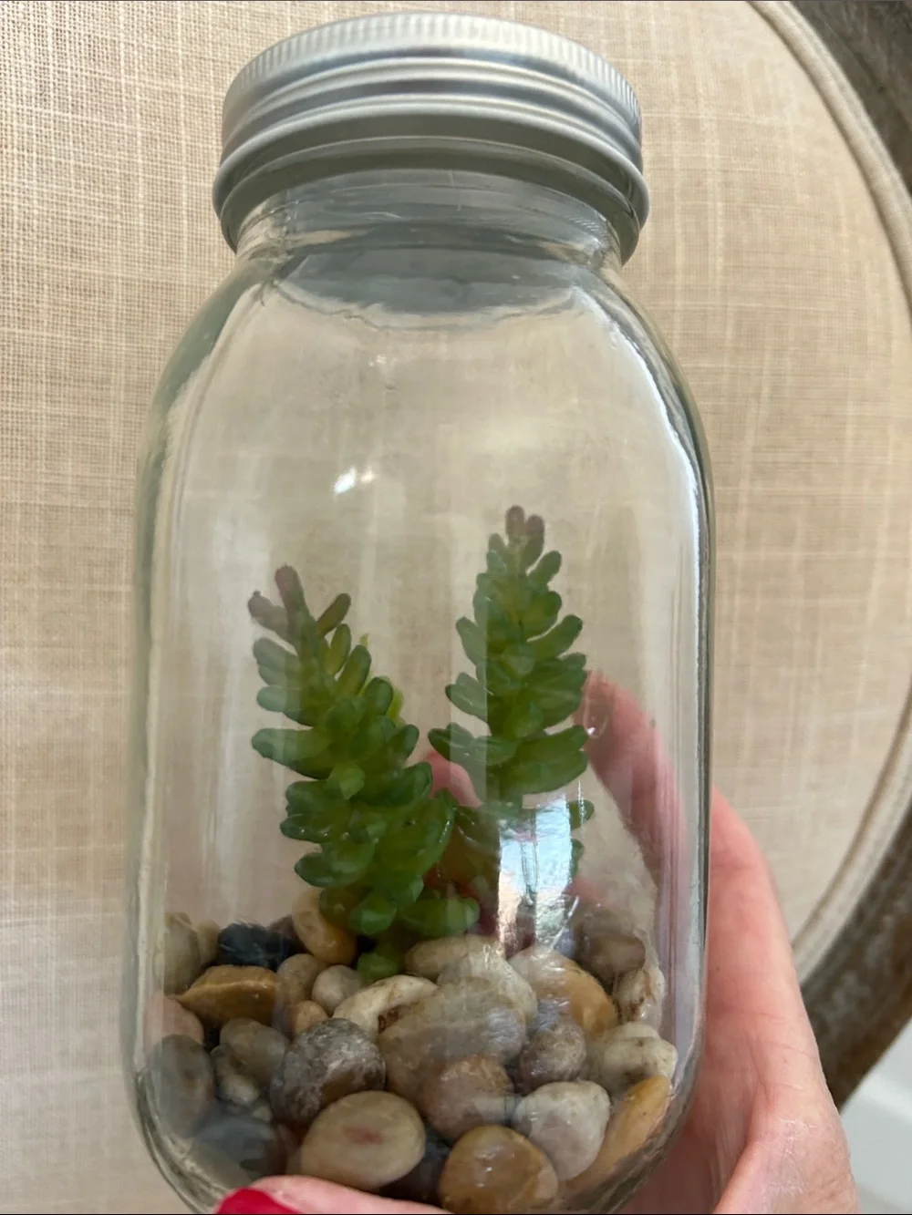 (3) Faux Succulent Glass Mason Jar